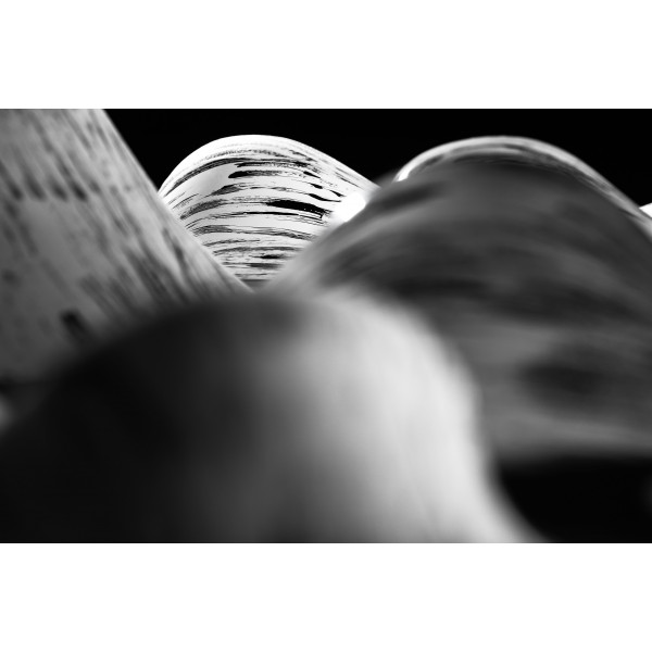 Ghostline Asymetric Balls DT 611