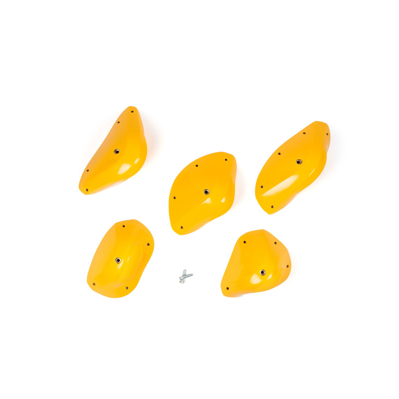 Foxes - Bubbles XXL1 2