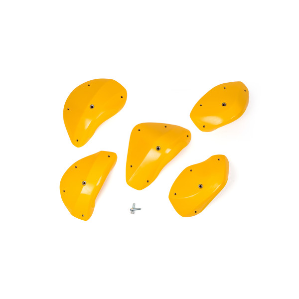 Foxes - Positive Edges XXL 1