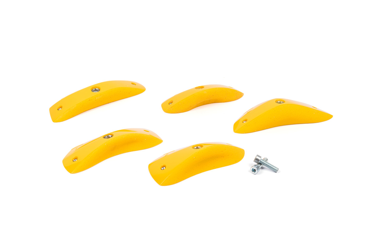 Foxes - Round Edges L1