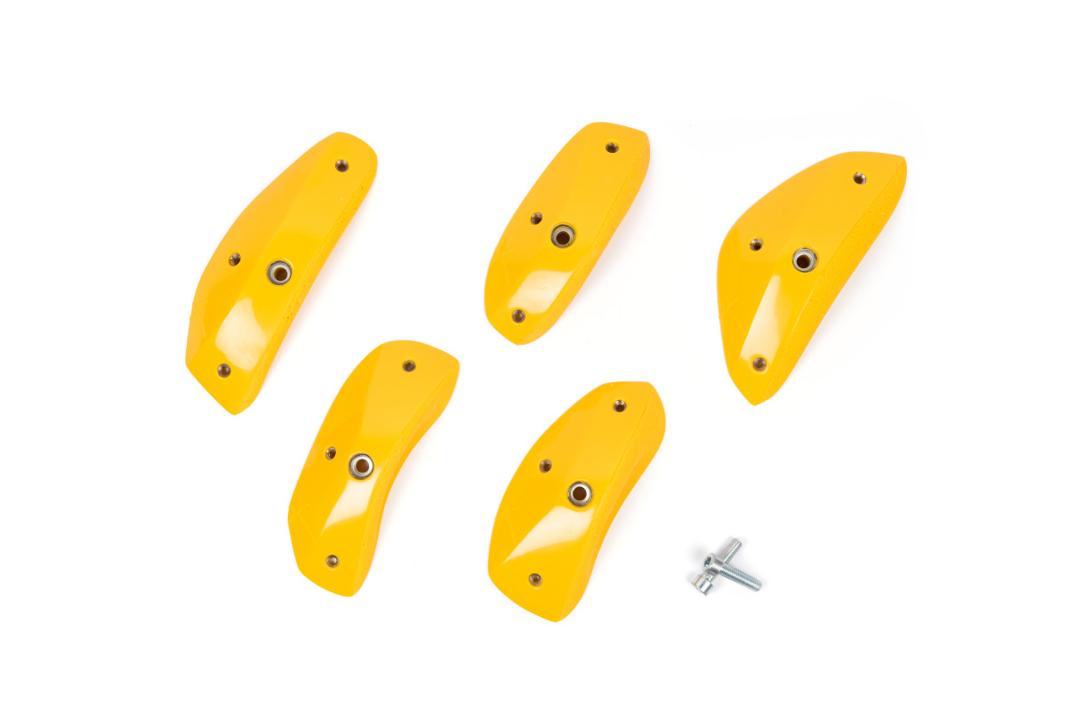 Foxes - Round Edges L1