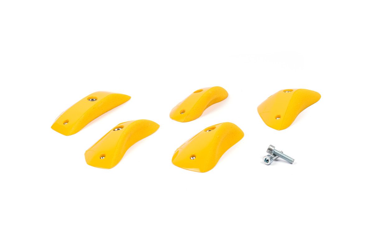 Foxes - Round Edges L1