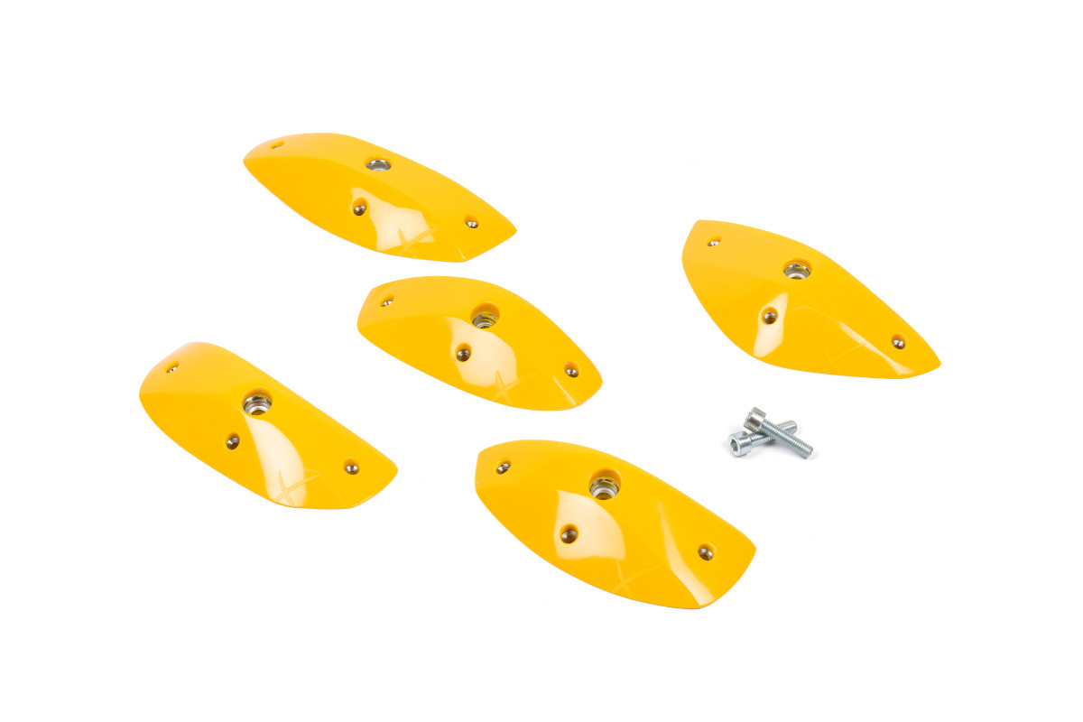 Foxes - Round Edges L1