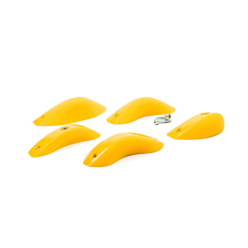 Foxes - Round Edges L2