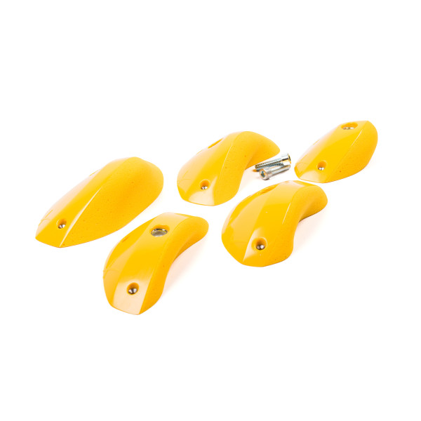 Foxes - Round Edges L2