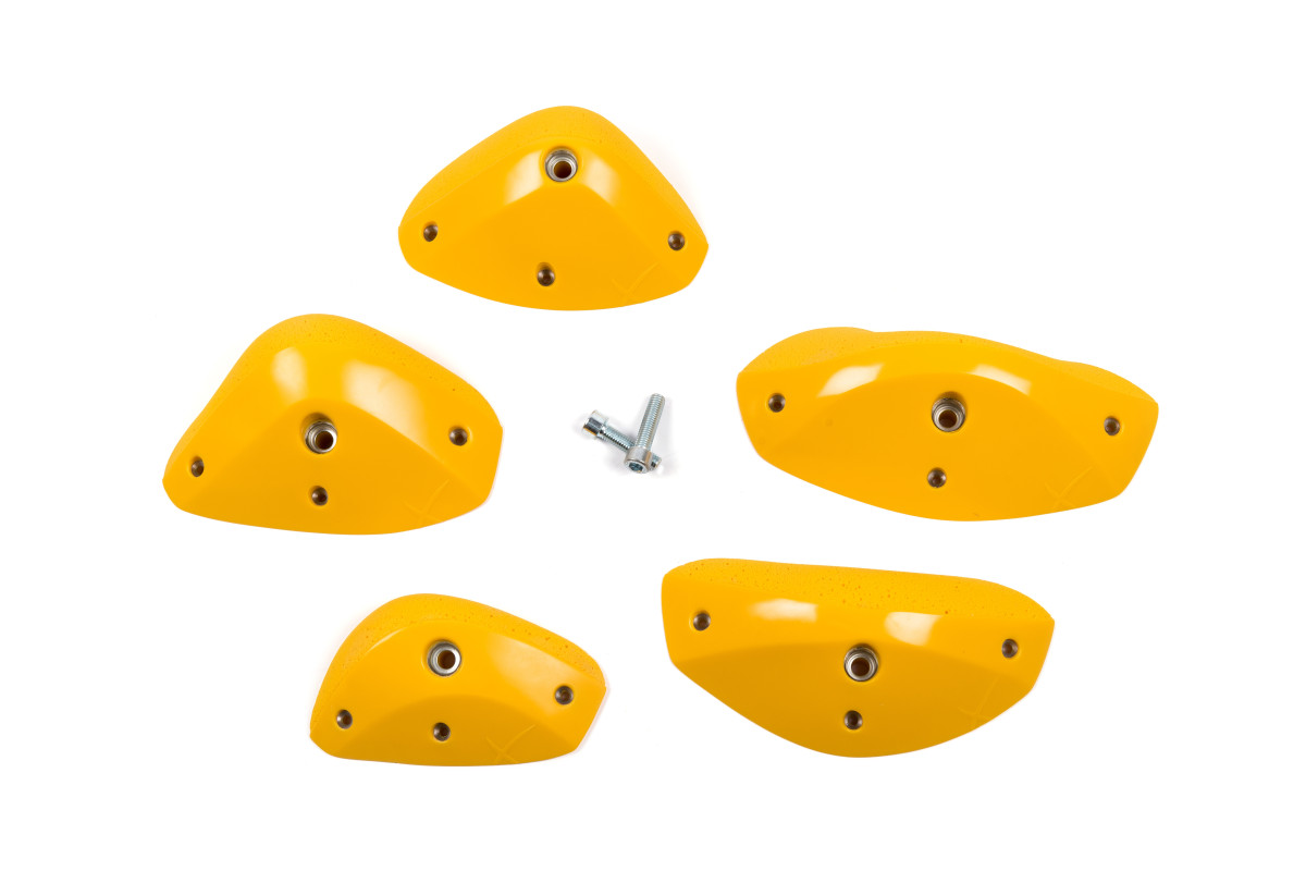 Foxes - Round Edges L3