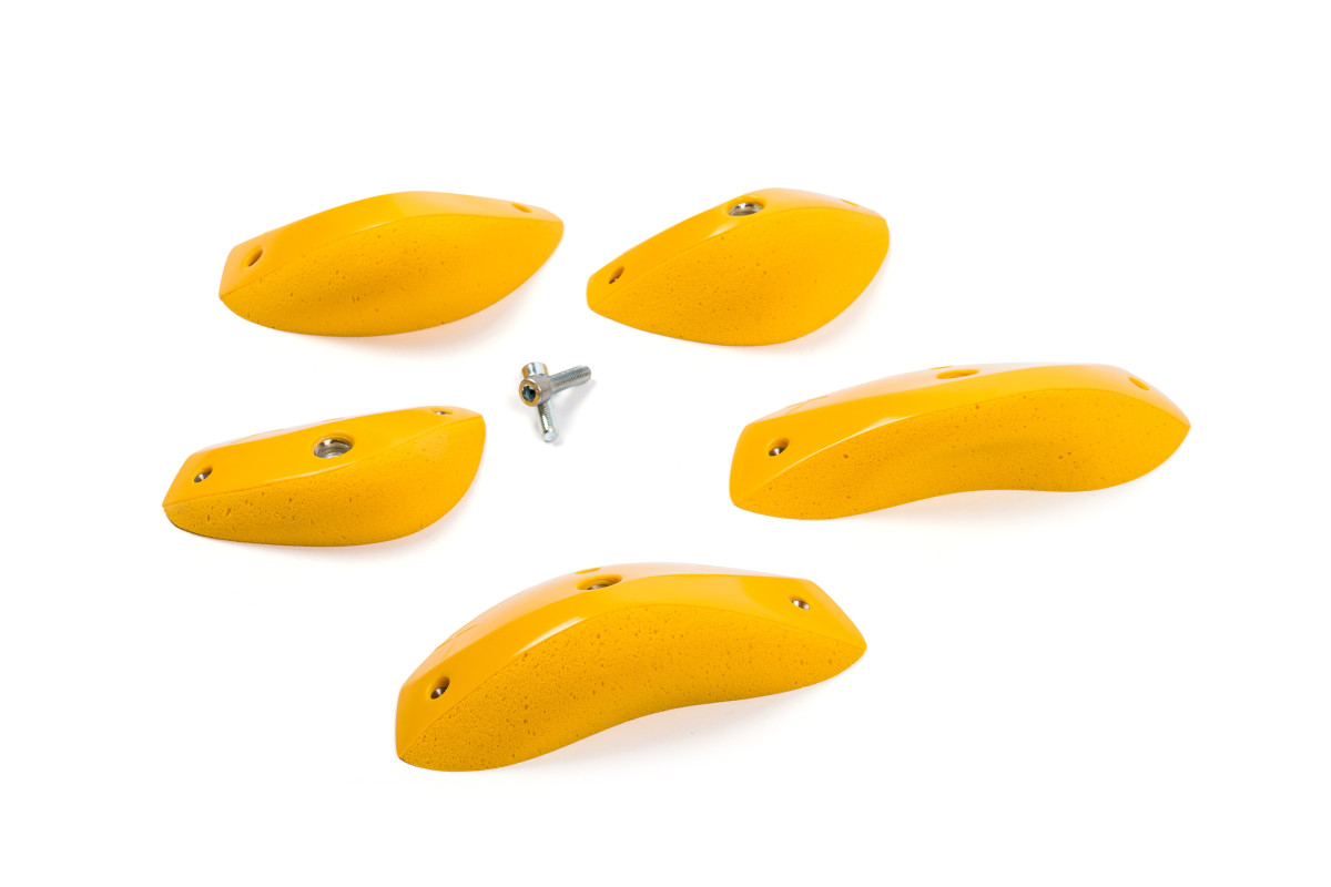 Foxes - Round Edges L3