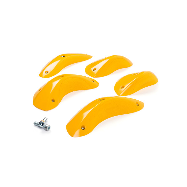 Foxes - Round Edges L4