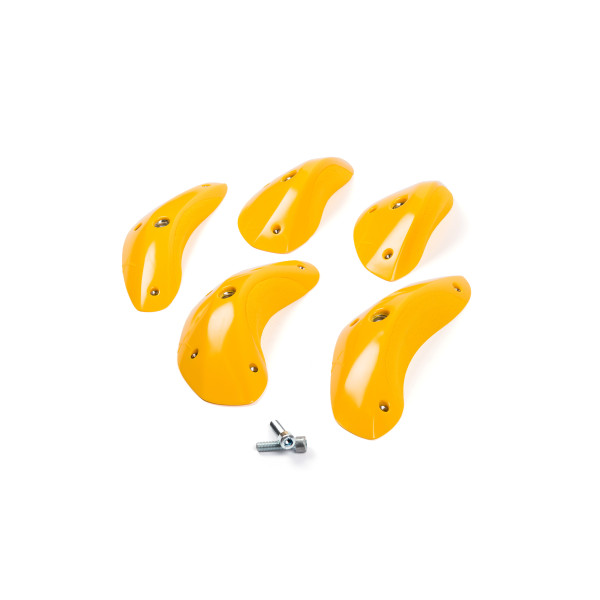 Foxes - Round Edges L4