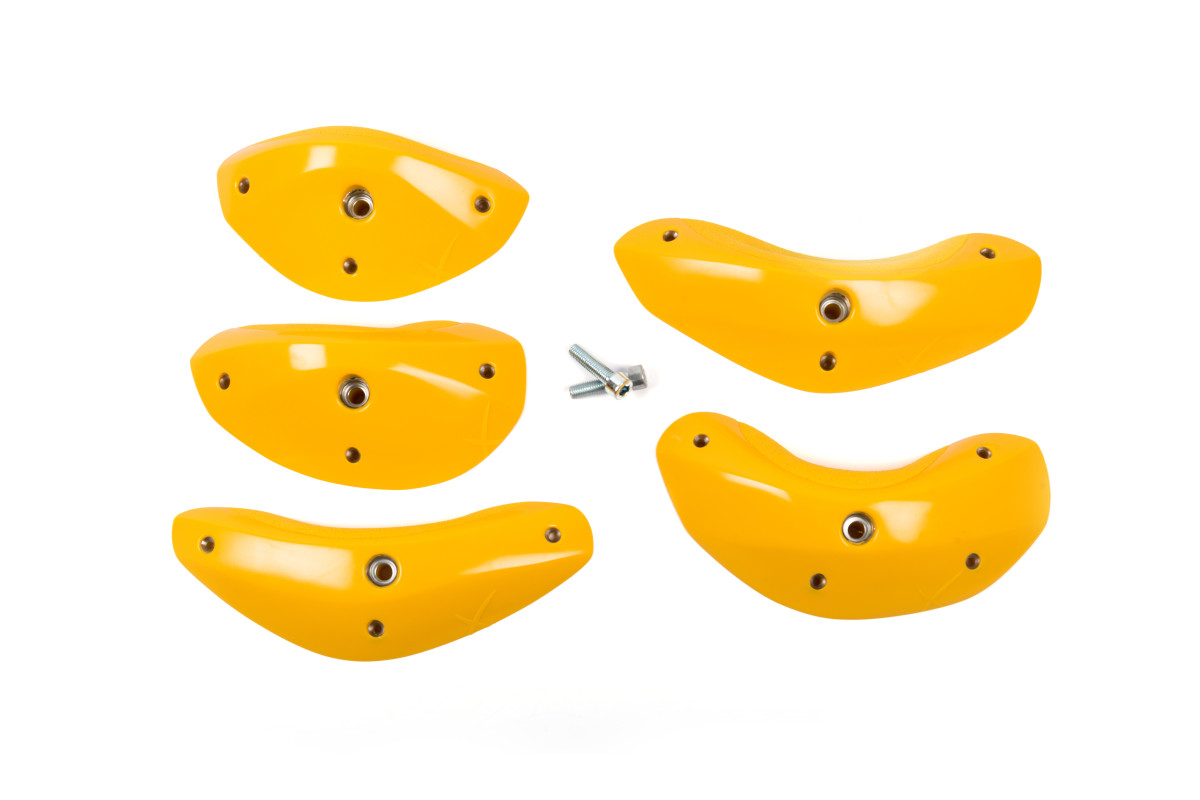 Foxes - Round Edges L4