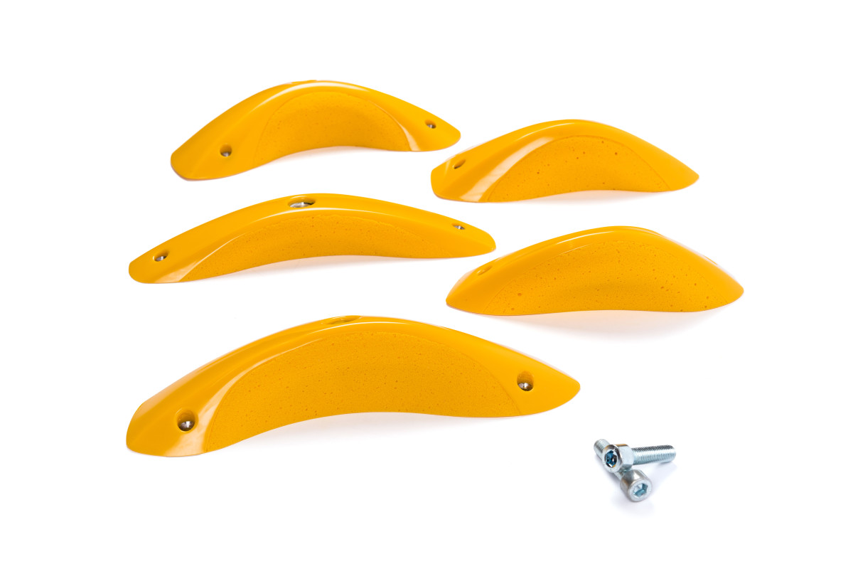 Foxes - Round Edges L4