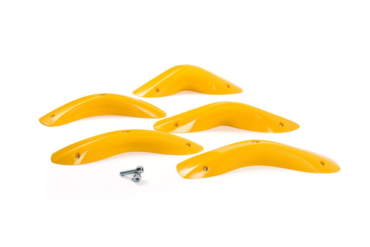 Foxes - Round Edges XL 1