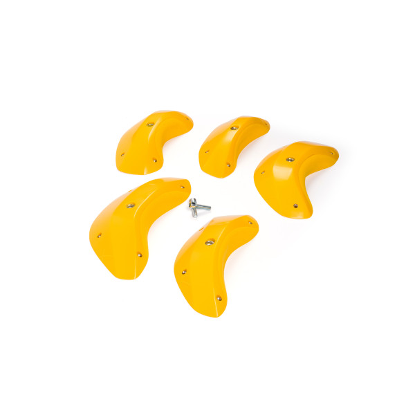 Foxes - Round Edges XL 2