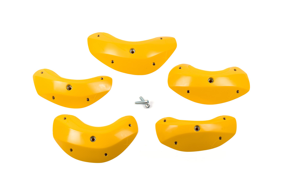 Foxes - Round Edges XL 2