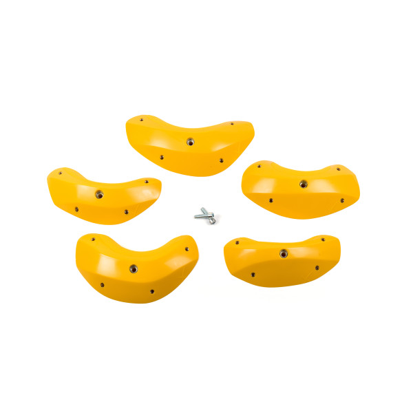 Foxes - Round Edges XL 2