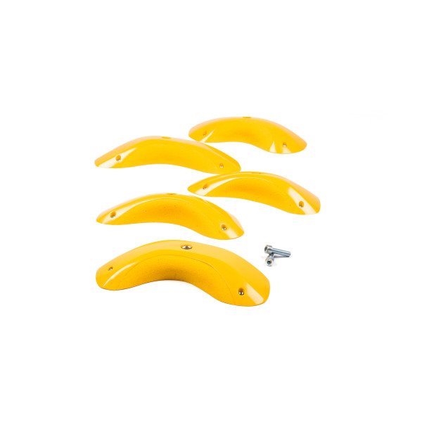 Foxes - Round Edges XL 2