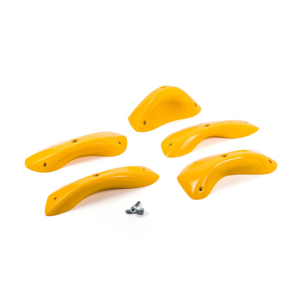 Foxes - Round Edges XL 3