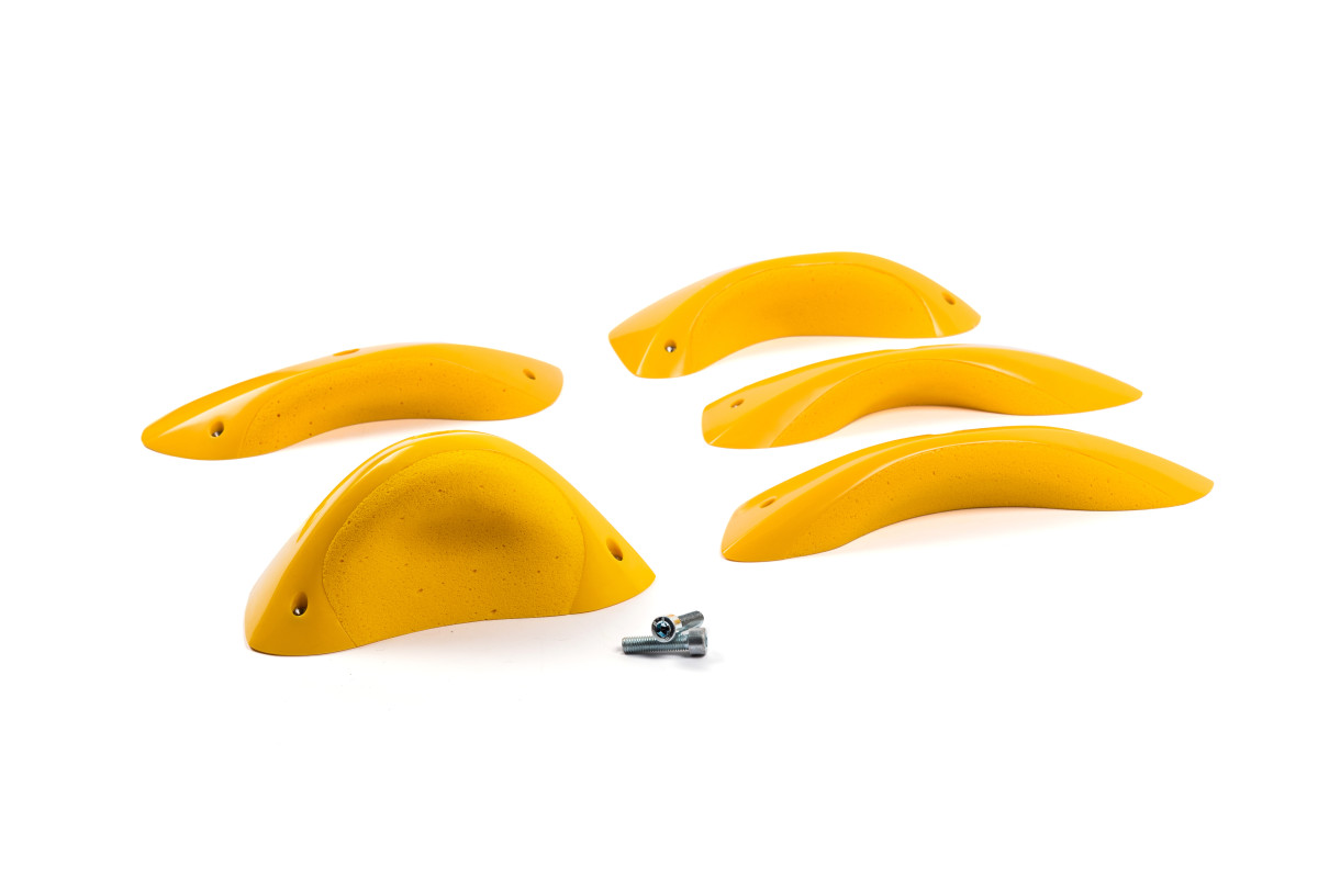 Foxes - Round Edges XL 3