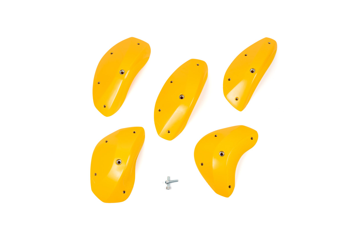 Foxes - Round Edges XXL 1