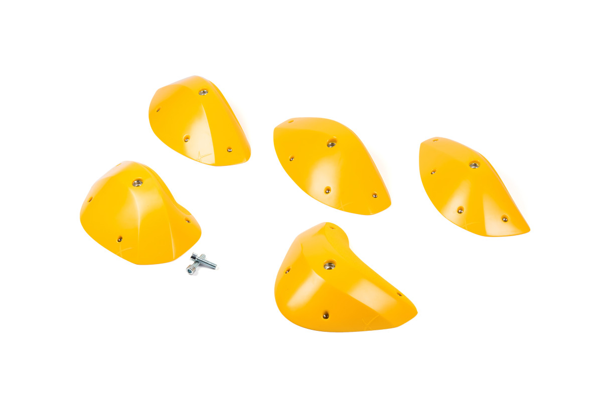 Foxes - Round Edges XXL 1