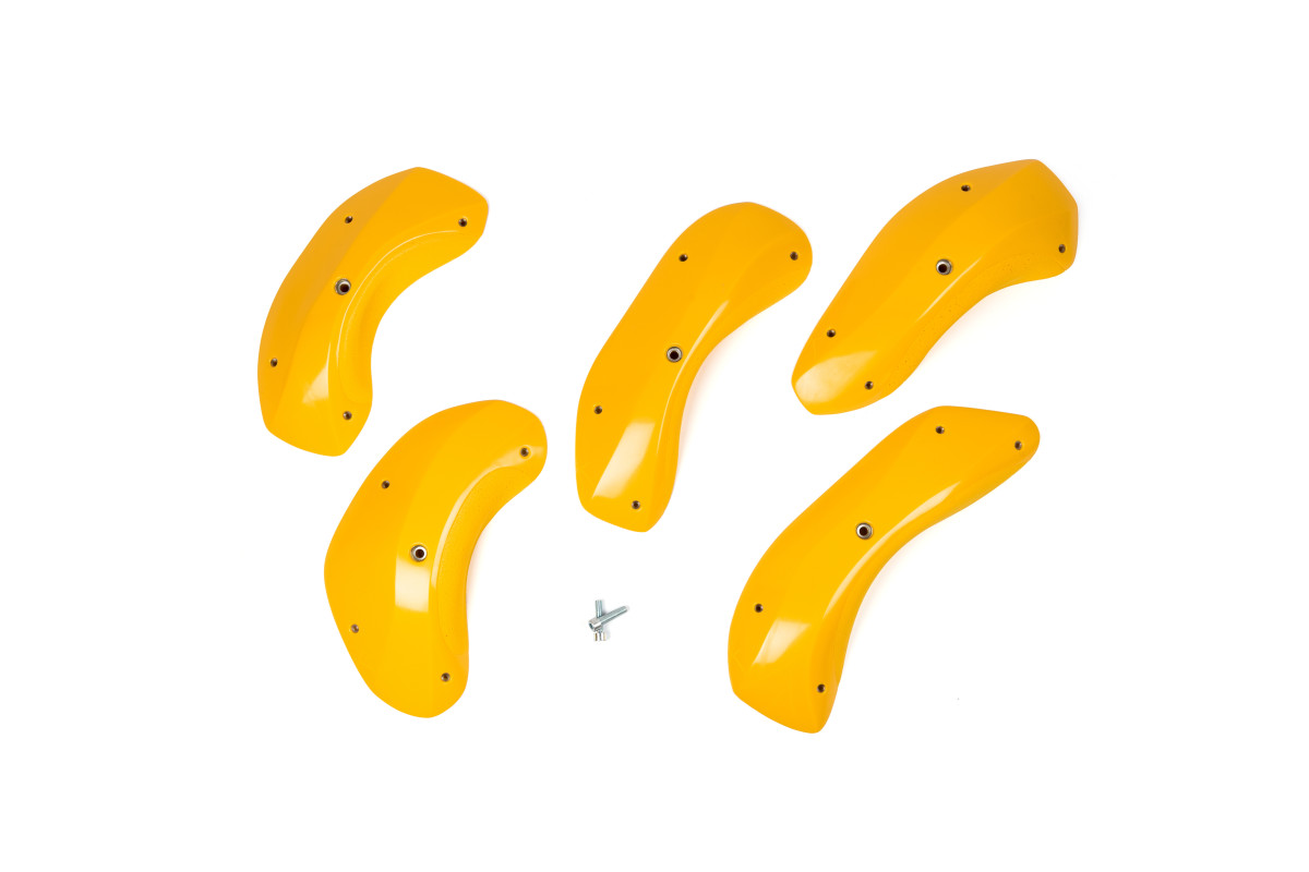 Foxes - Round Edges XXL 2