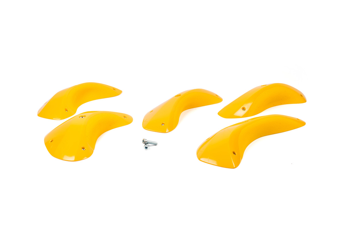 Foxes - Round Edges XXL 2