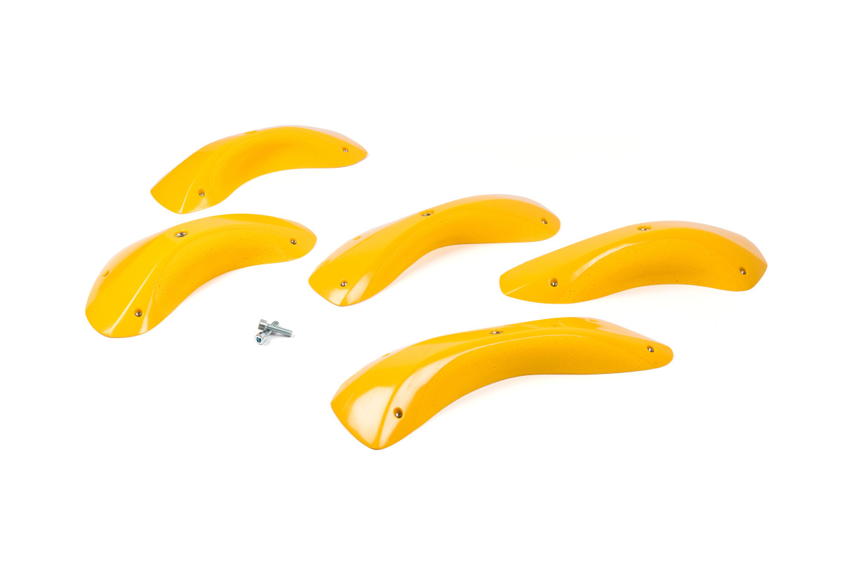 Foxes - Round Edges XXL 2