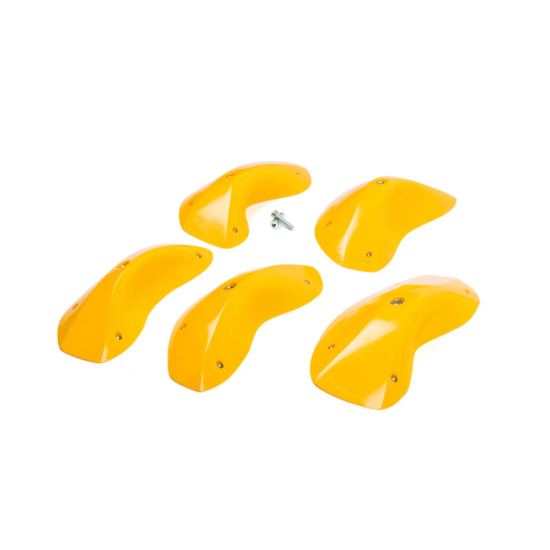 Foxes - Round Edges XXL 3