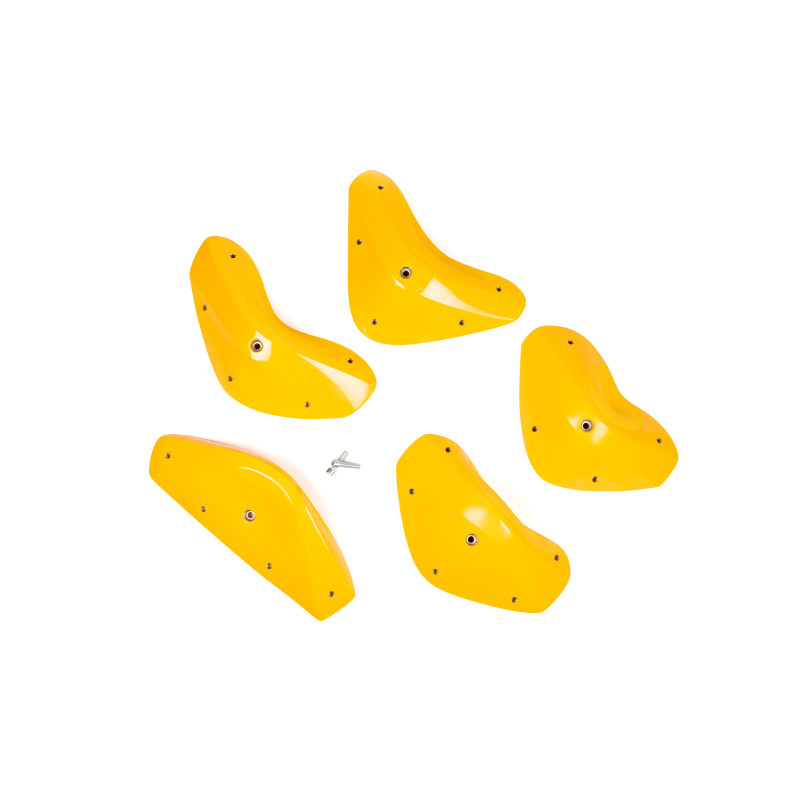 Foxes - Round Edges XXL 4 2