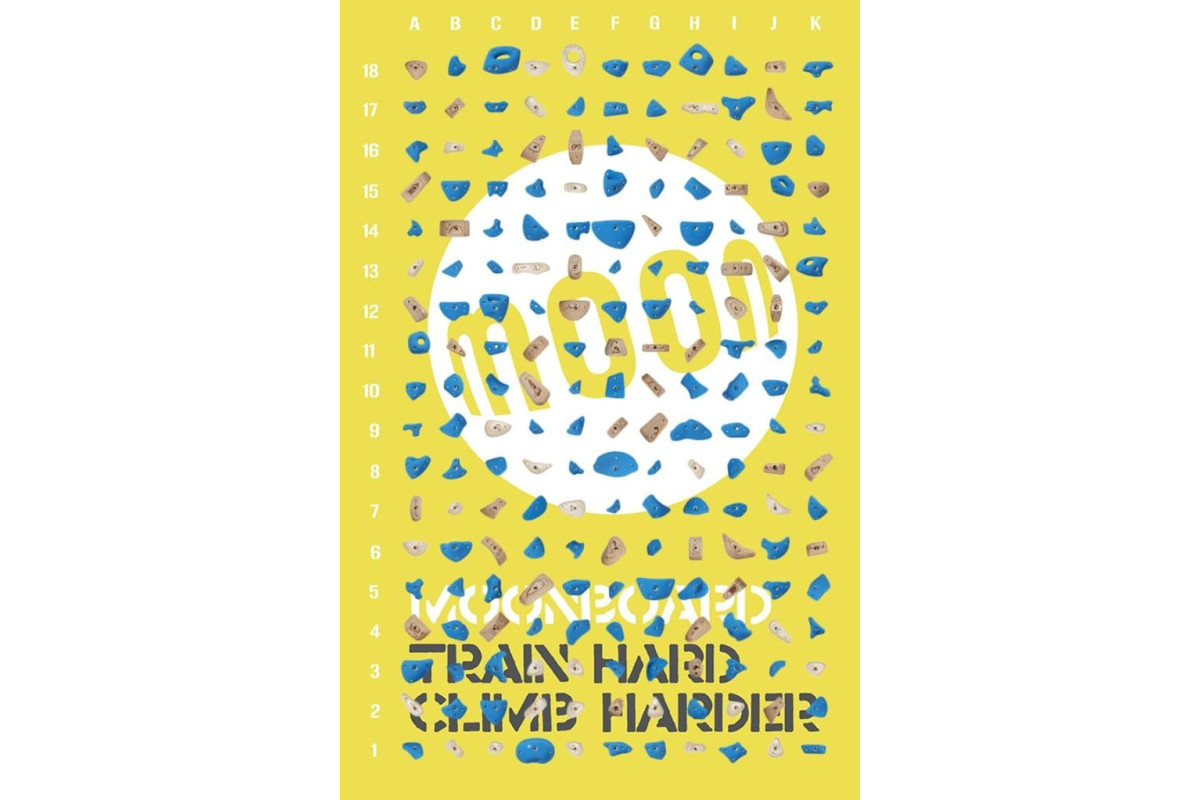 Kit Moonboard 2024 (12x8)