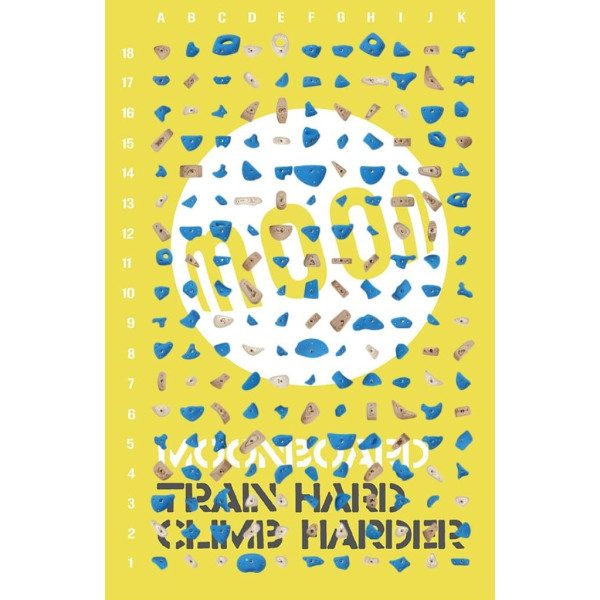 Kit Moonboard 2024 (12x8)