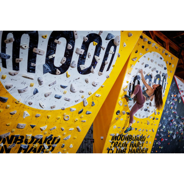 Kit Moonboard 2019 (12x8)