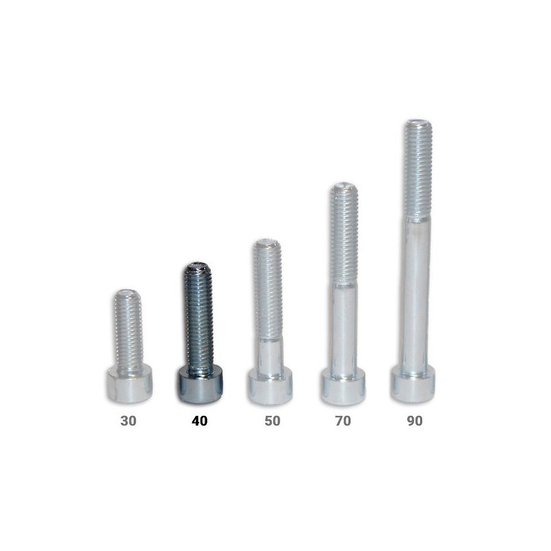 Vis CHC - longueur 40 mm -...