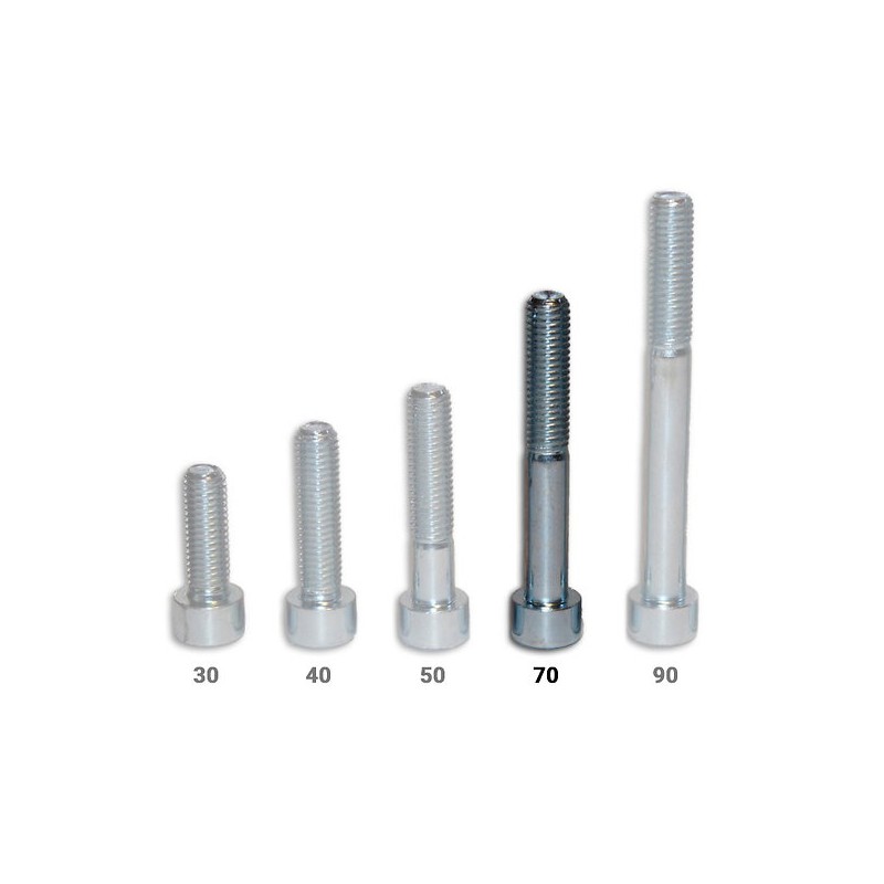 Vis CHC - longueur 70 mm -...