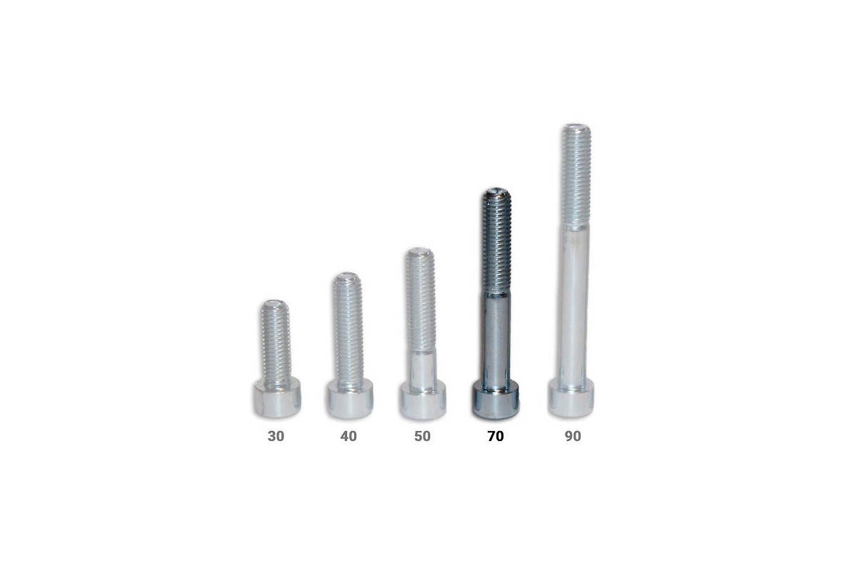 Vis CHC - longueur 70 mm - pack de 50