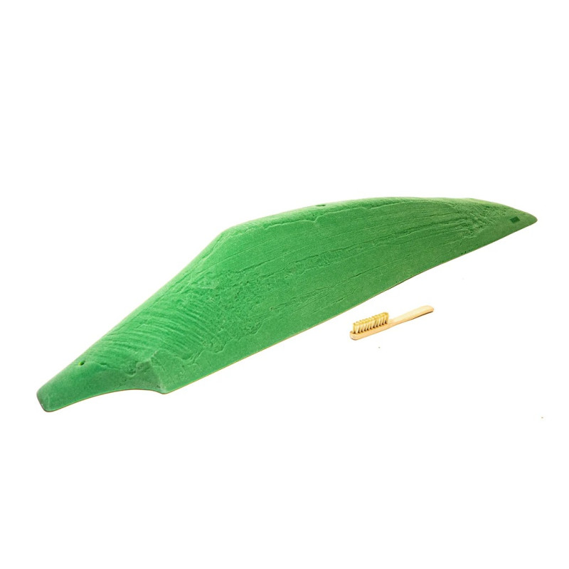 Schist Silver Surfer 2