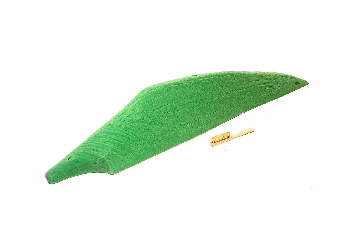 Schist Silver Surfer