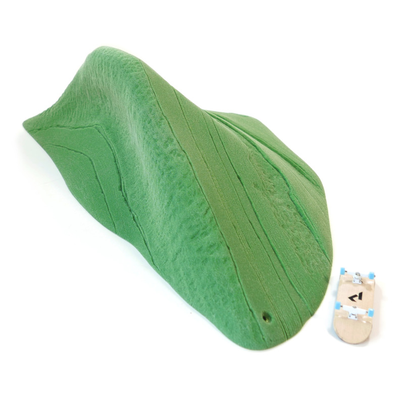 Schist Dynosaur Finn 2