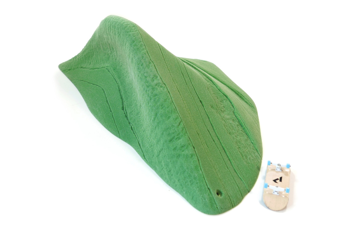 Schist Dynosaur Finn