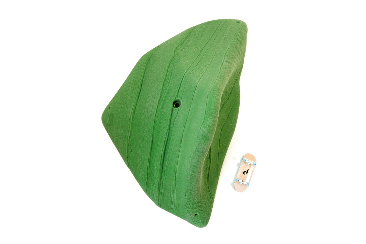 Schist Dynosaur Finn