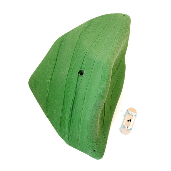 Schist Dynosaur Finn