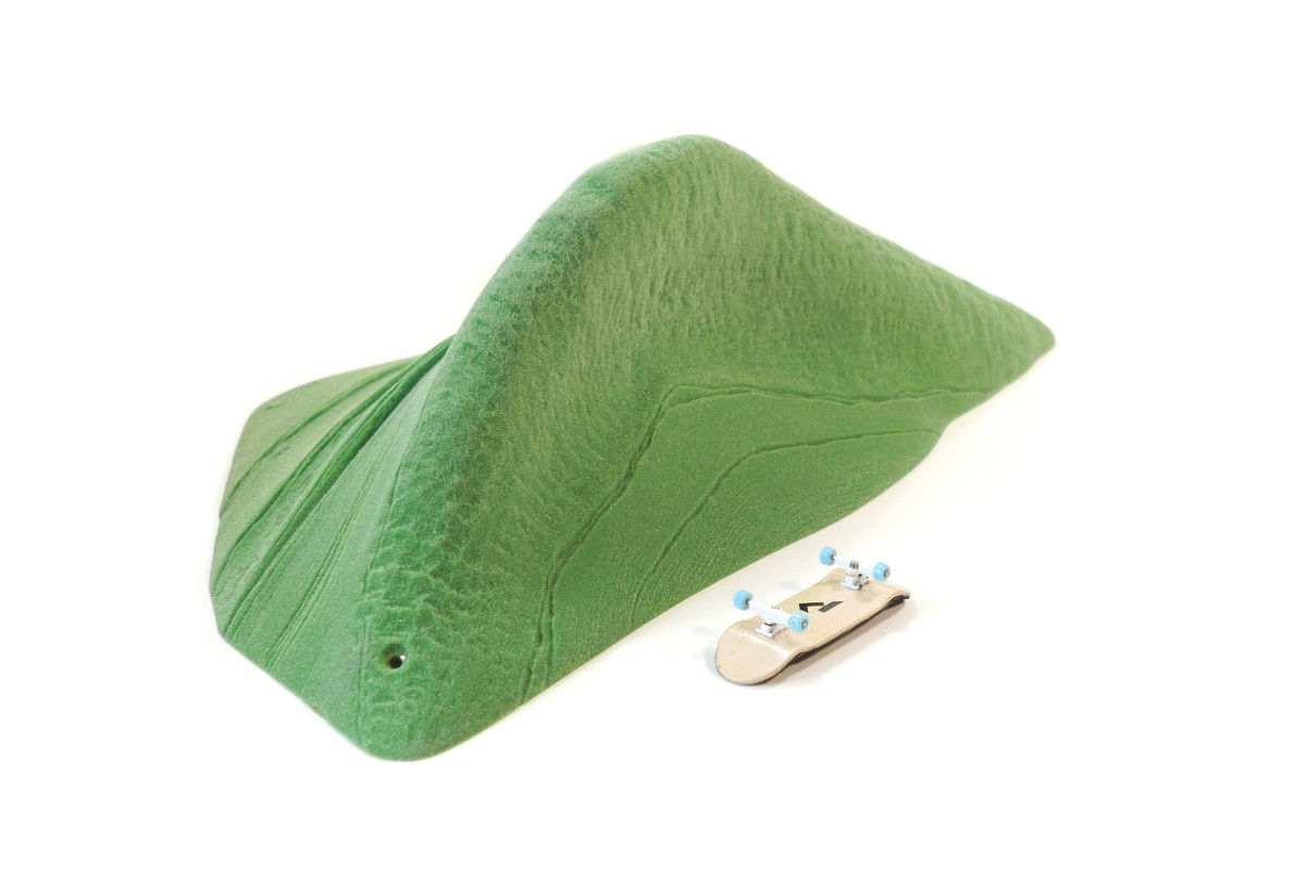 Schist Dynosaur Finn