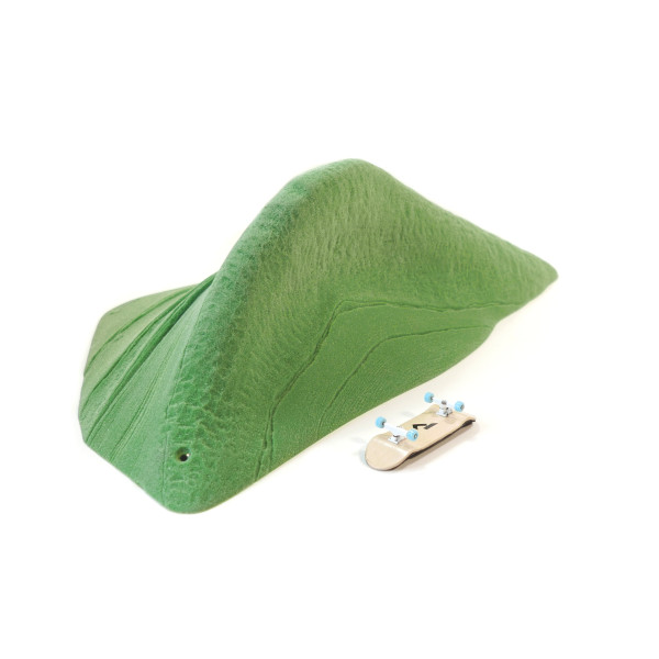 Schist Dynosaur Finn