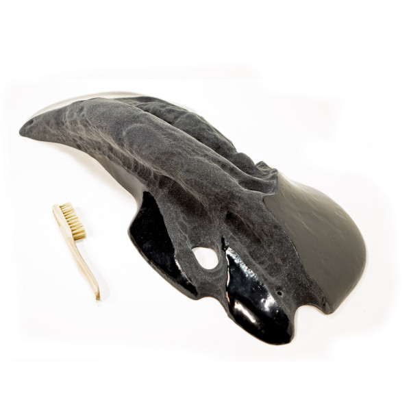 Limestone Leviathan Tufa