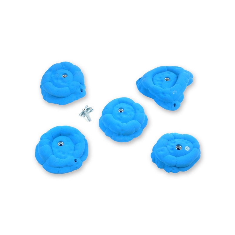 Desert Point - Flowers