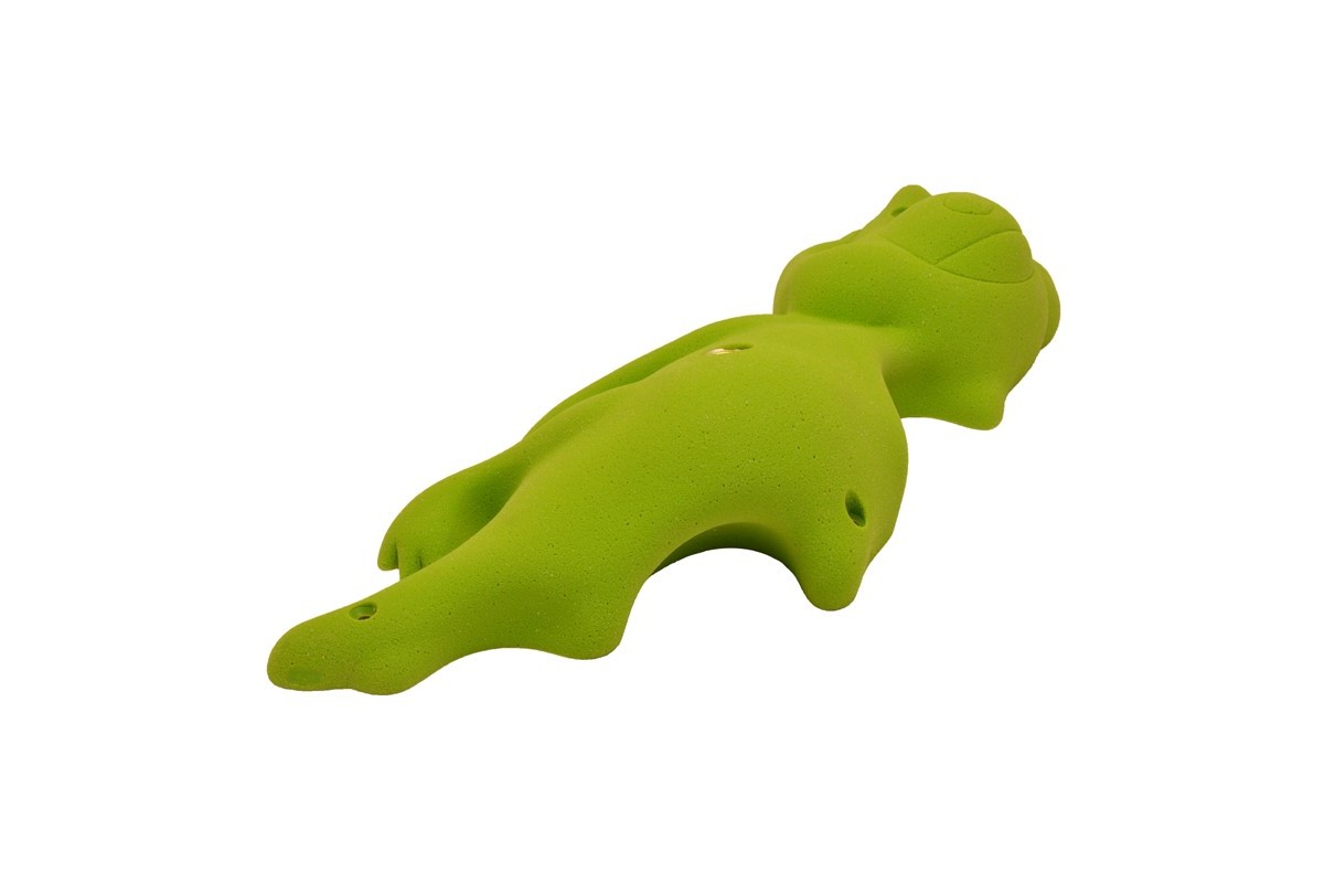 Head - Little Crocodile