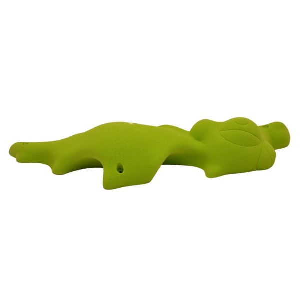 Head - Little Crocodile