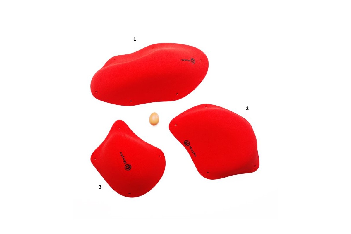 Plasmids