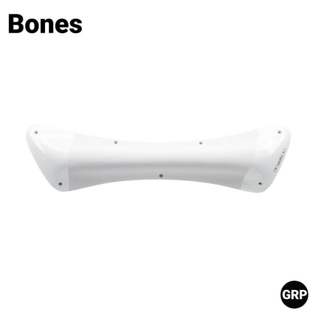 Bones